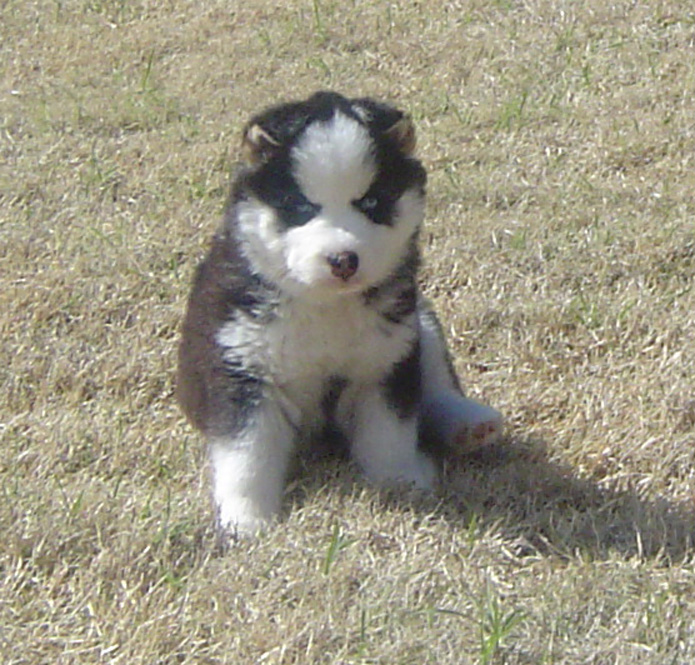 Moriah 7 weeks