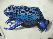 dart frog