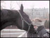 Mateusz and Spinka