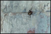 what do you think this is?