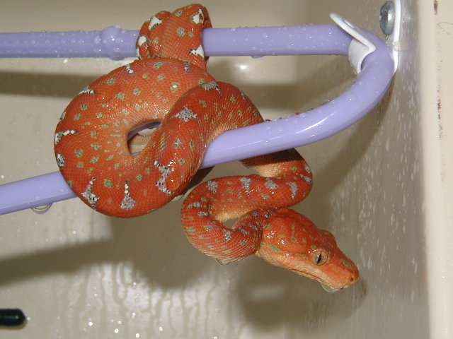 ETB