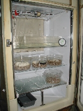 incubator