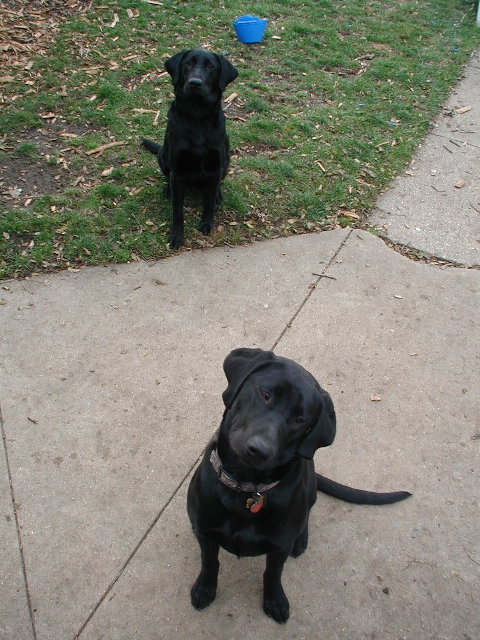 two independant labs agree....