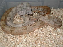 male #1/ w/ female pic 1