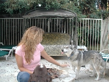 wolf gives wife rasberry