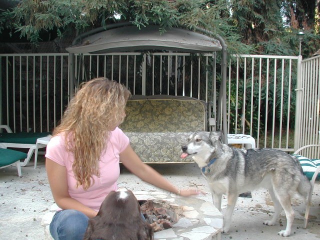wolf gives wife rasberry