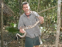 QROO boa, female-4