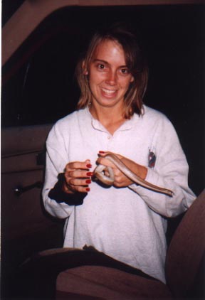 road hunting for rosy boas