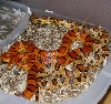 Abbt Okeetee corn 6_30_06_B
