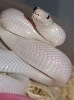 Leucistic Texas Rat Sep 9 06