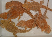 Group shot