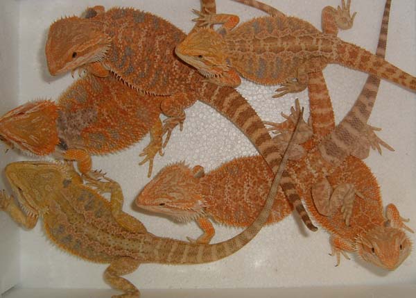 Group shot