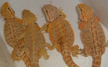 Another Group Shot