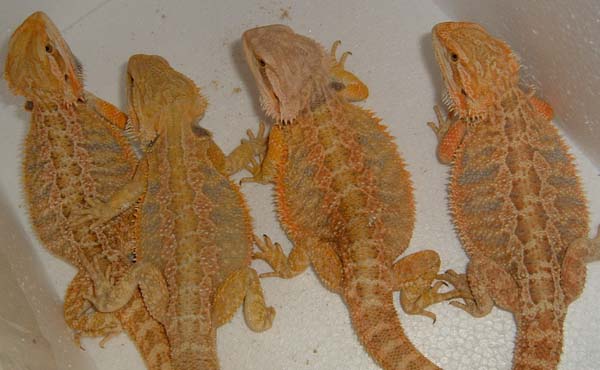 Another Group Shot