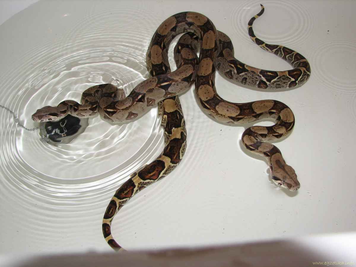 Have a bath