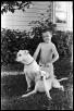 Raising American Bulldogs is a Family Affair!