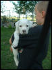 Krash at 6 weeks old-what a cutie!