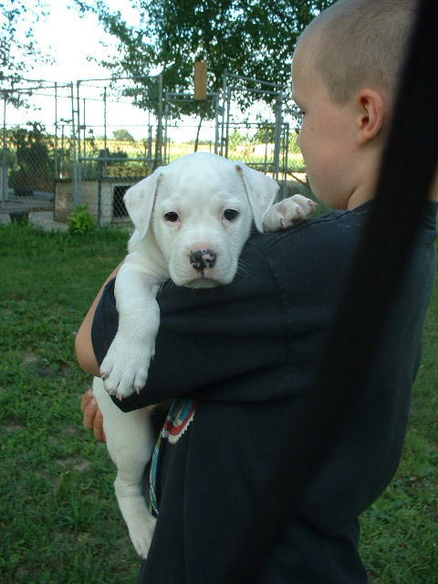 Krash at 6 weeks old-what a cutie!