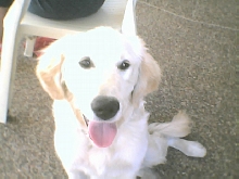 Jack @6months old