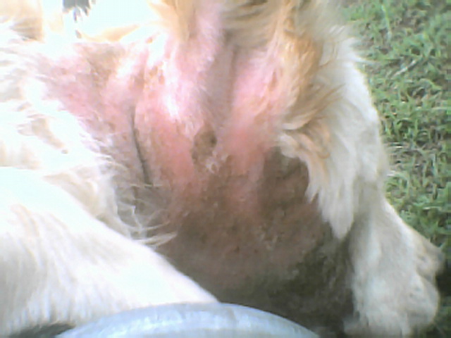 Jack's Hot Spot