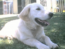 Jack lookn sooooo white