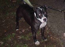 aisa  . china&spike_o's daughter 11 months