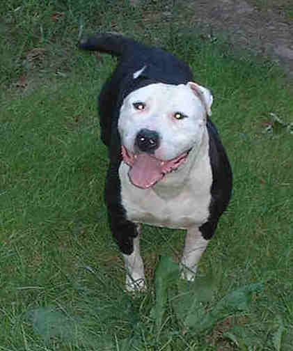 china (f)5 yrs aisa&nayna's mother