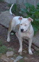 nayna (f)  11 months china &spike_o's daughter
