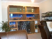 vivarium 1