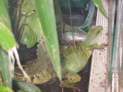 Male and female
