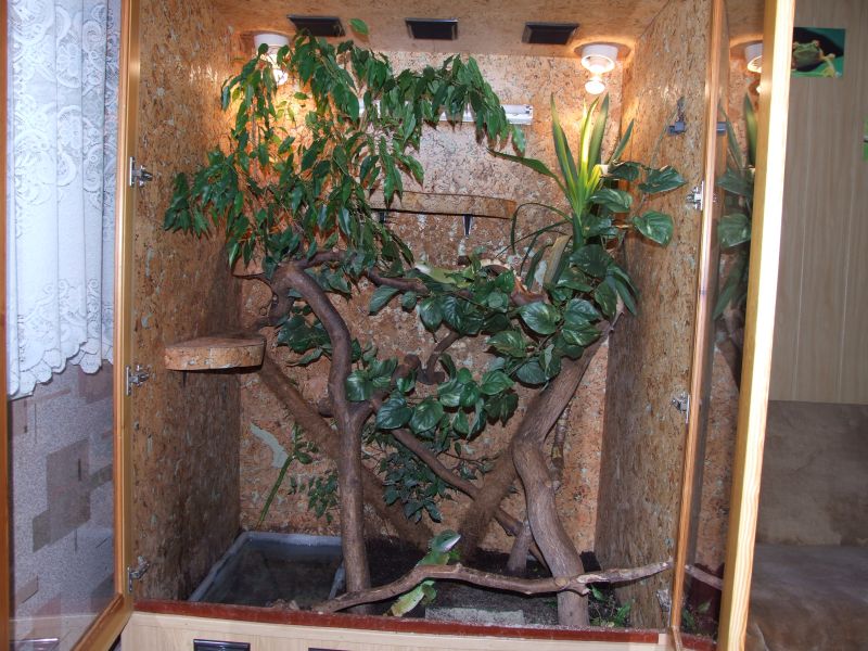 My terrarium