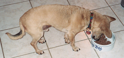 Ralph 3