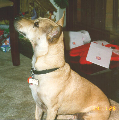 Ralph 1