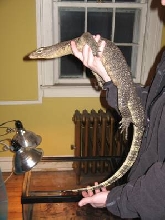 Water Monitor