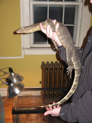 Water Monitor
