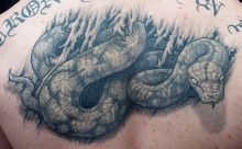 Retic Tattoo