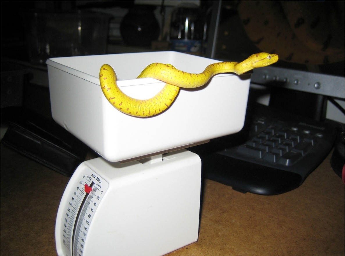 Weighing