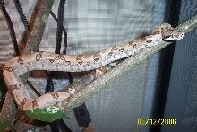 another pic