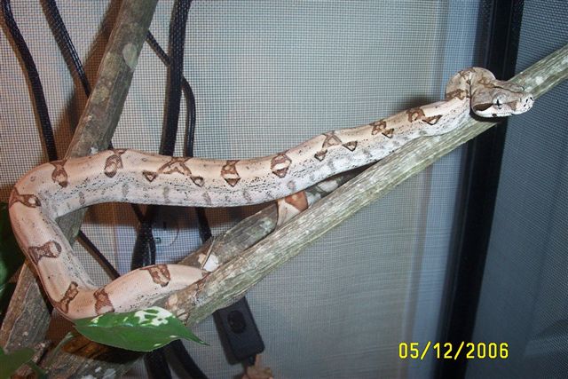 another pic