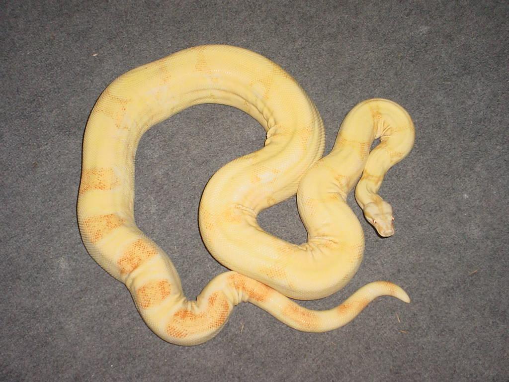 stripeline2