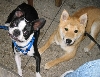 Hunter and Brady