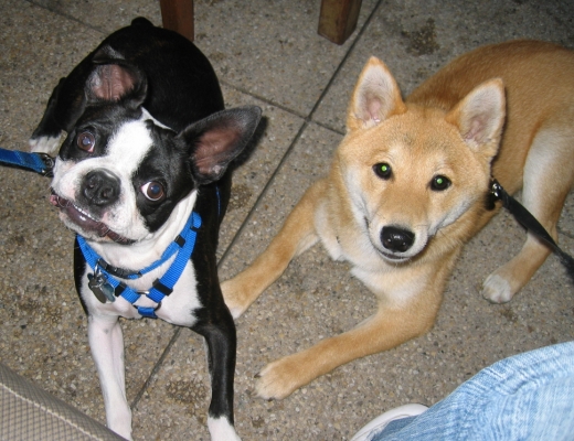 Hunter and Brady