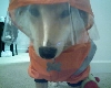 hunter raincoat 1