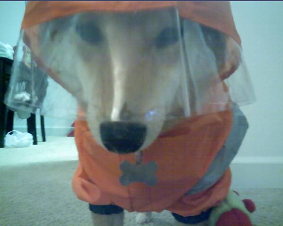 hunter raincoat 1