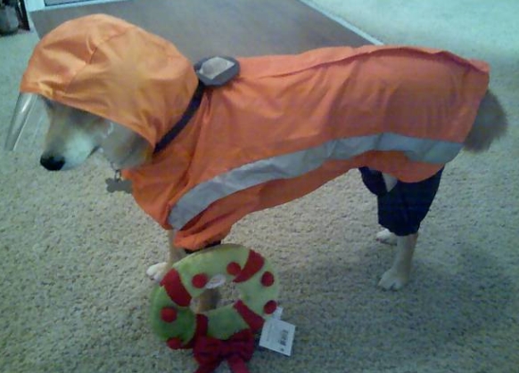 raincoat 2