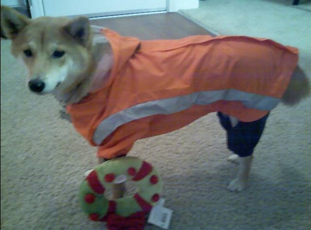 raincoat3