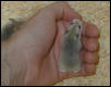 Rob2 in hand