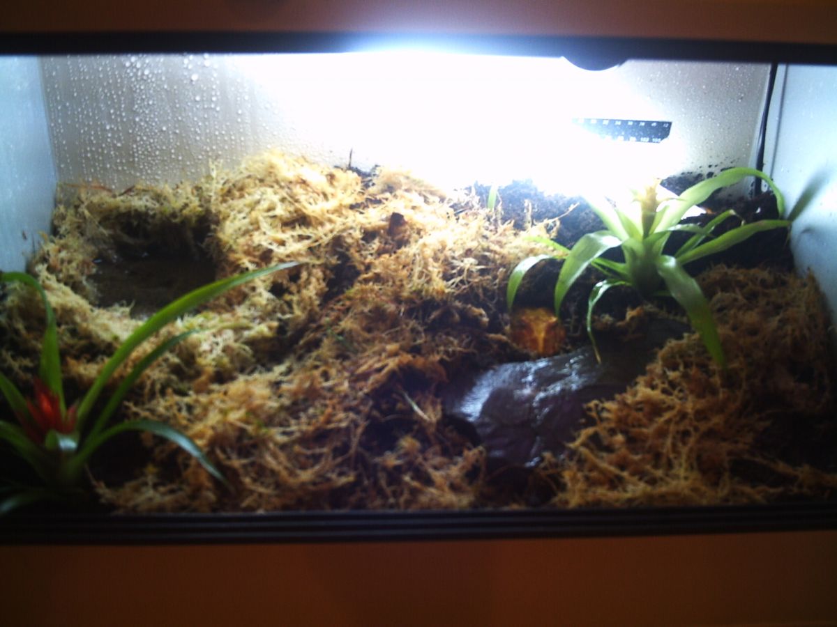 Roxys new House