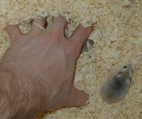 Playing under hand