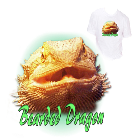Bearded Dragon Face